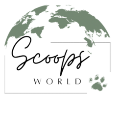 Scoops World